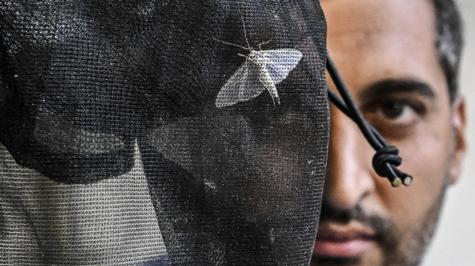 West Nile: un altro morto a Caserta, &egrave; il nono in Italia