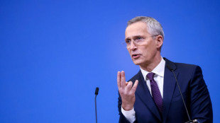 L'Otan relance le d&eacute;bat sur l'accroissement des d&eacute;penses de d&eacute;fense 