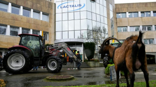 Dermatose et abattage des bovins: la Confédération paysanne appelle à "des blocages partout"