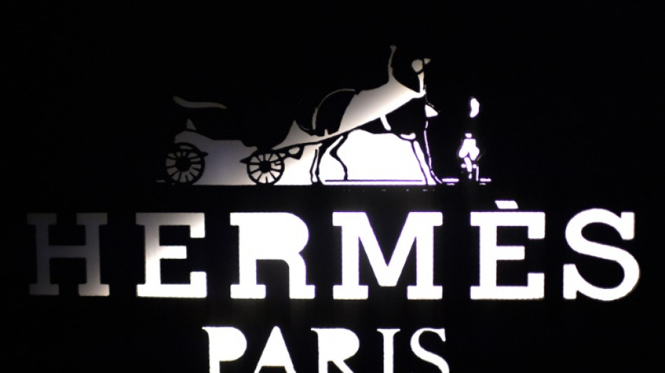 El grupo de lujo Herm&egrave;s registra un a&ntilde;o r&eacute;cord en 2022