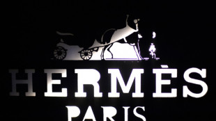 El grupo de lujo Herm&egrave;s registra un a&ntilde;o r&eacute;cord en 2022