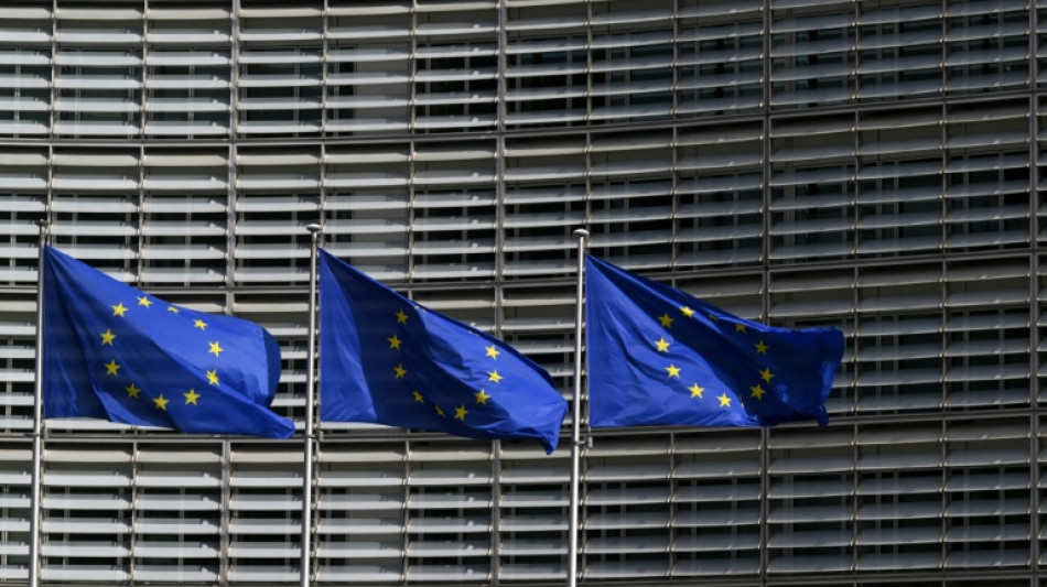 Des responsables talibans &agrave; Bruxelles pour parler d'immigration