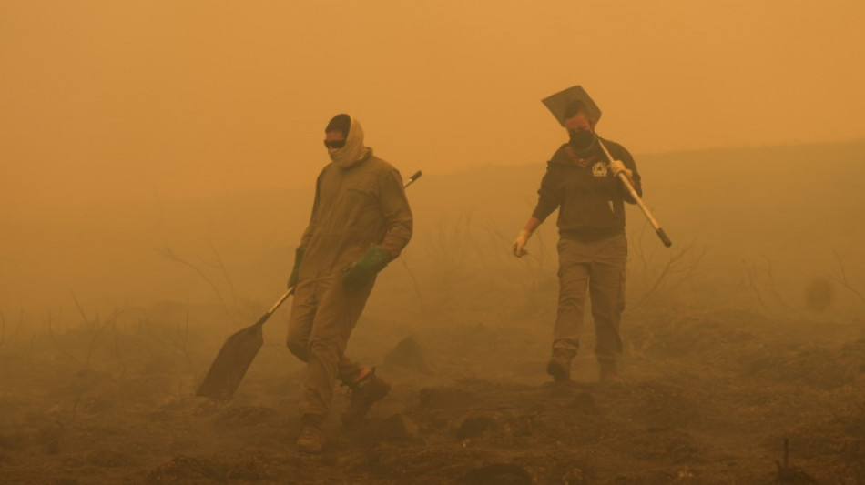 Durch Waldbrände schon mehr als eine Million Hektar in der EU verbrannt