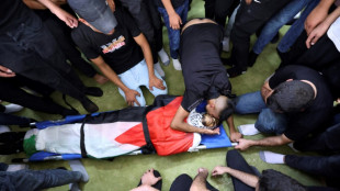 Un soldado israel&iacute; mata a adolescente palestino que lo atac&oacute; con un martillo