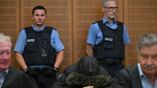 Prison &agrave; vie en Allemagne pour un m&eacute;decin syrien tortionnaire sous Assad