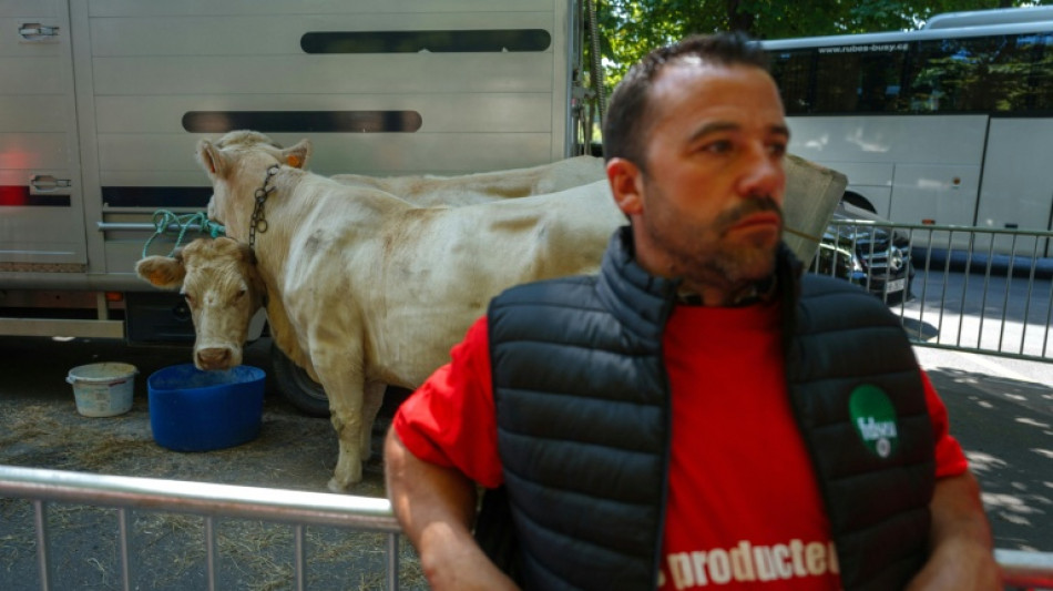 Accord UE-Mercosur: quel impact sur l'agriculture européenne ?