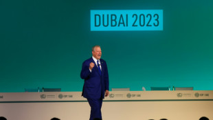 Ex-US-Vizepr&auml;sident Gore prangert bei Klimakonferenz Emirate wegen CO2-Emissionen an