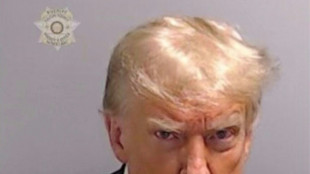 Instant classic: Trump mug shot joins star-studded rogues' gallery