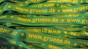Gr&uuml;ne in Brandenburg best&auml;tigen Pichl und Gro&szlig;e Holtrup als Parteivorsitzende