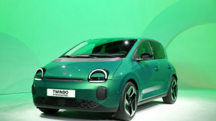 Avec la nouvelle Twingo, Renault veut r&eacute;veiller le march&eacute; des &eacute;lectriques "abordables"
