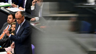 Un cibertaque "extremadamente preocupante" golpea a la clase pol&iacute;tica de Alemania