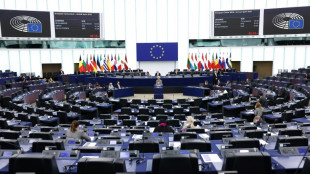 Los eurodiputados aprueban una protecci&oacute;n a periodistas y activistas contra la intimidaci&oacute;n judicial