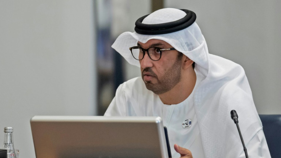UAE names oil chief to head COP28 climate talks