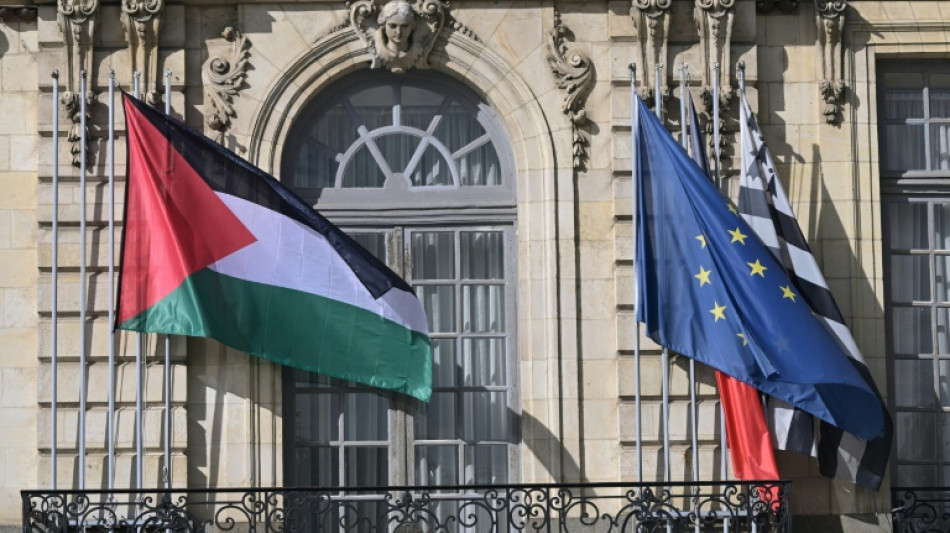 Varias alcald&iacute;as en Francia desoyen al gobierno e izan la bandera palestina