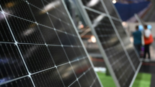 "Bild": Habeck will F&ouml;rderung von privater Solarstromerzeugung verst&auml;rken