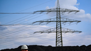 EU states strike deal on electricity market reform