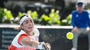 Tennis: Djokovic et Jabeur &agrave; la t&ecirc;te de l'Association ind&eacute;pendante des joueurs PTPA