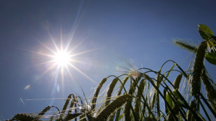 Zahl der Sterbef&auml;lle im Juni auf Mittelwert von Vorjahren - Anstieg bei Hitze