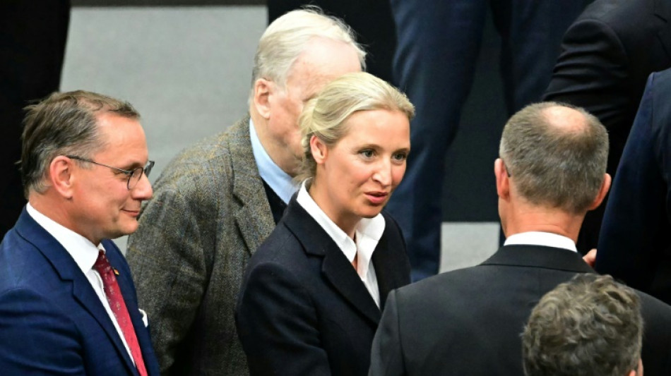 Alemania suspende temporalmente la clasificaci&oacute;n del AfD como partido "extremista"