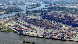 62-J&auml;hriger st&uuml;rzt durch Oberlicht: T&ouml;dlicher Arbeitsunfall in Hamburger Hafen