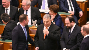Hungr&iacute;a vota la ratificaci&oacute;n de la entrada de Suecia a la OTAN