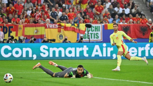Euro-2024: l'Espagne des rempla&ccedil;ants &eacute;limine l'Albanie (1-0)