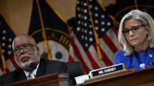 Parlamentarischer U-Ausschuss macht Trump f&uuml;r Kapitol-Erst&uuml;rmung verantwortlich