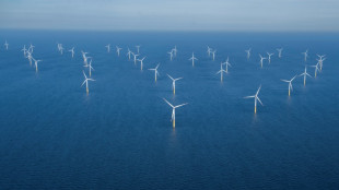 Niederlande drosseln Windr&auml;der f&uuml;r Durchzug von Zugv&ouml;geln