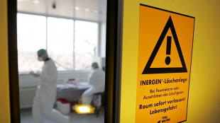 Impennata di aviaria in Germania, abbattuti 130mila animali