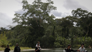 Panama, cala dell'89% l'arrivo di migranti dal Dari&eacute;n