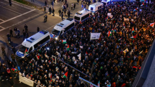24-J&auml;hriger in Berlin nach Vorf&auml;llen bei propal&auml;stinensischen Demos festgenommen