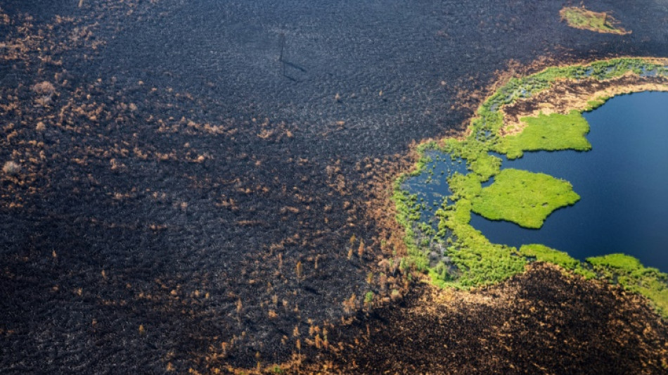 Incendios en el &Aacute;rtico podr&iacute;an liberar enormes cantidades de CO2, afirma estudio
