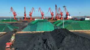 2024, ann&eacute;e la plus chaude, est aussi celle d'une demande record de charbon