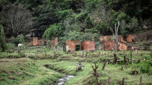 V&iacute;timas do rompimento da barragem de Mariana buscam por 'justi&ccedil;a' em Londres