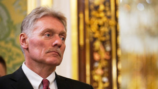 Cremlino, valuteremo la proposta cessate il fuoco in Ucraina