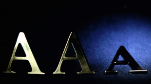 France: des objectifs de d&eacute;ficit "peu ambitieux" et de "plus en plus hors de port&eacute;e" (Fitch)