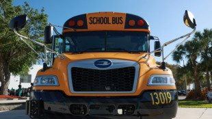 F&uuml;r mehr E-Autos: US-Regierung versch&auml;rft Emissionsgrenzwerte f&uuml;r Verbrenner