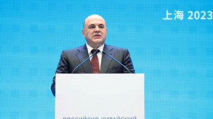 Na China, premi&ecirc; russo pede aumento do com&eacute;rcio bilateral