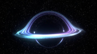 Più facile distinguere buchi neri e stelle di neutroni con l'IA