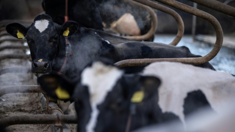 La inflaci&oacute;n se acelera al 7% en interanual a marzo en Reino Unido