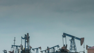 Ukraine: difficiles n&eacute;gociations au sein de l'UE pour un embargo sur le p&eacute;trole russe