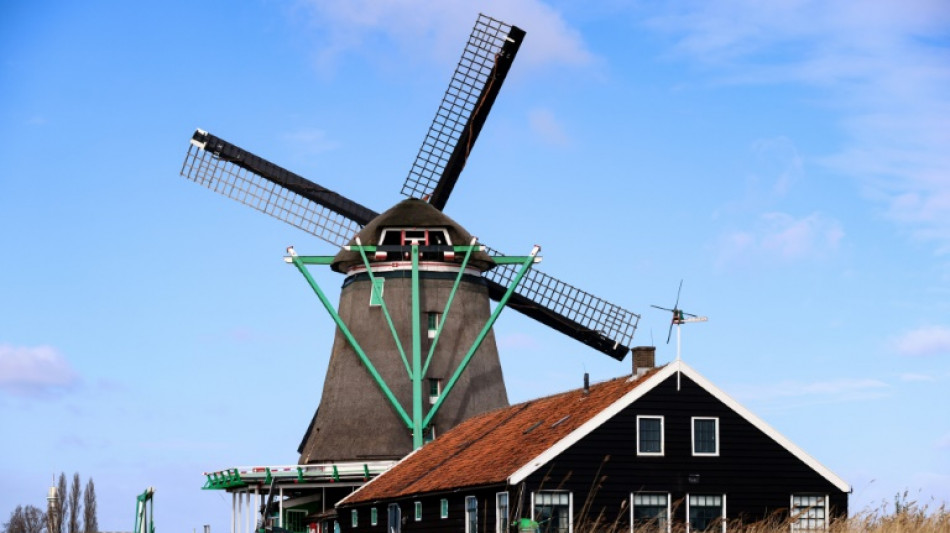 Pays-Bas: la peinture comme au temps de Vermeer gr&acirc;ce &agrave; un moulin s&eacute;culaire