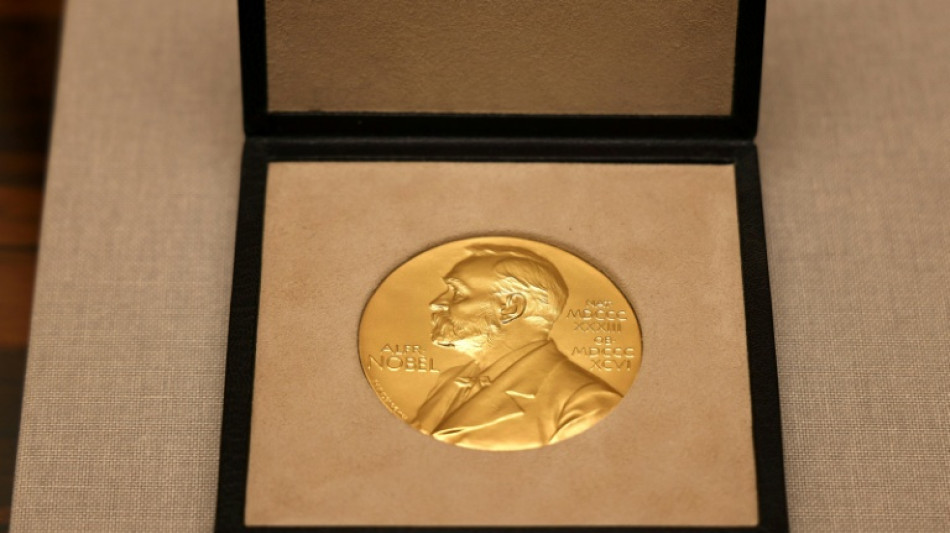 Spannung vor Vergabe des Literaturnobelpreises: Experten tippen auf eine Frau
