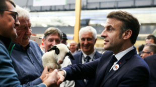 Fran&ccedil;a continua tentando bloquear acordo UE-Mercosul, diz Macron