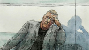 Au proc&egrave;s des viols de Mazan, la d&eacute;fense cl&ocirc;t ses plaidoiries en pointant le "monstre" Dominique Pelicot