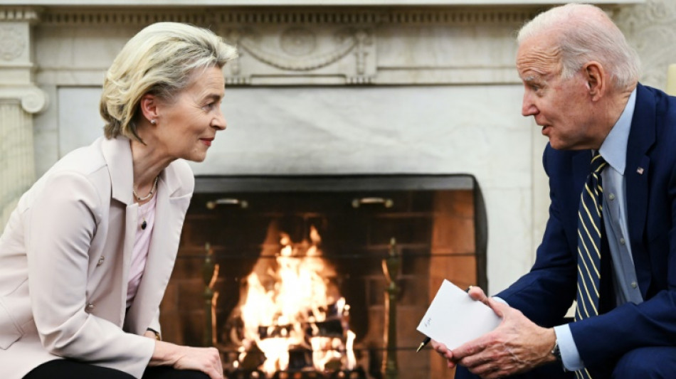 Biden y Von der Leyen quieren evitar competencia perjudicial sobre transici&oacute;n energ&eacute;tica