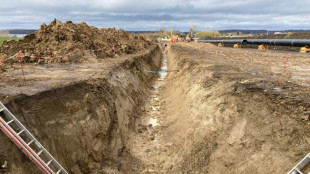 Du Danemark au Portugal, l'Europe redouble d'efforts pour s'&eacute;manciper du gaz russe