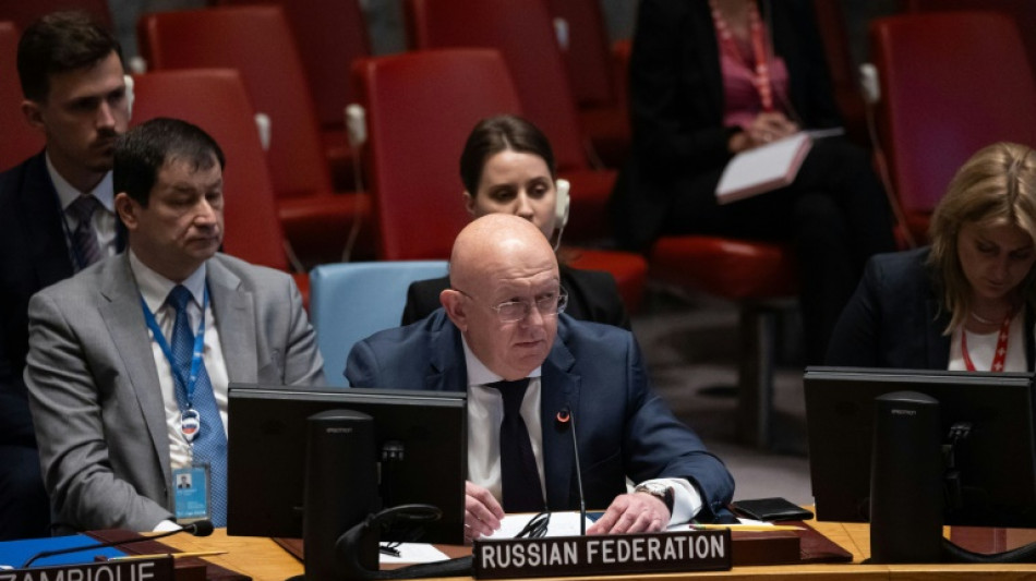 Russland fordert im UN-Sicherheitsrat "humanit&auml;re Waffenruhe" in Nahost