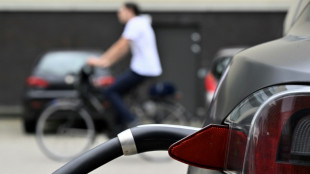 EU-Neuwagenmarkt legt zu - E-Auto-Wachstum leicht geschw&auml;cht