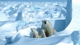 Le gouvernement Biden prot&egrave;ge une vaste zone de l'Alaska pour limiter l'exploitation p&eacute;troli&egrave;re